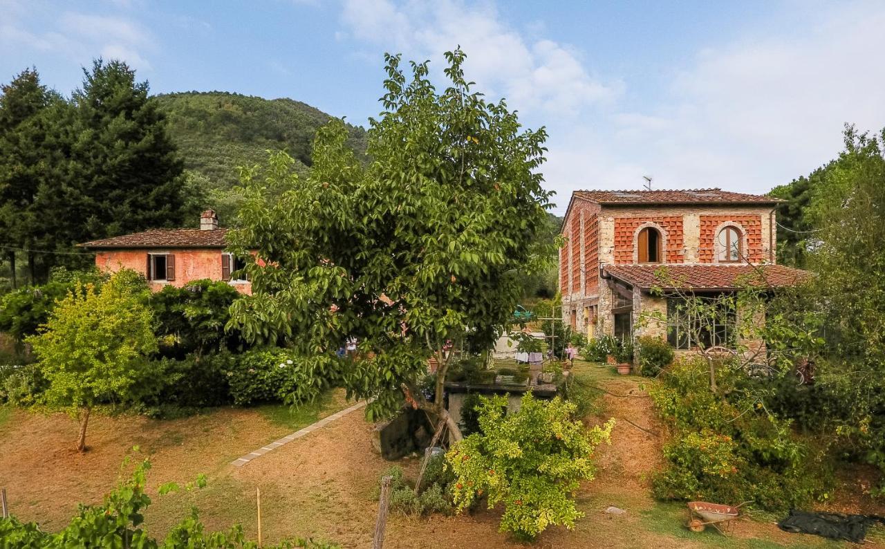 Casa Gaia Guest House Lucca Ngoại thất bức ảnh