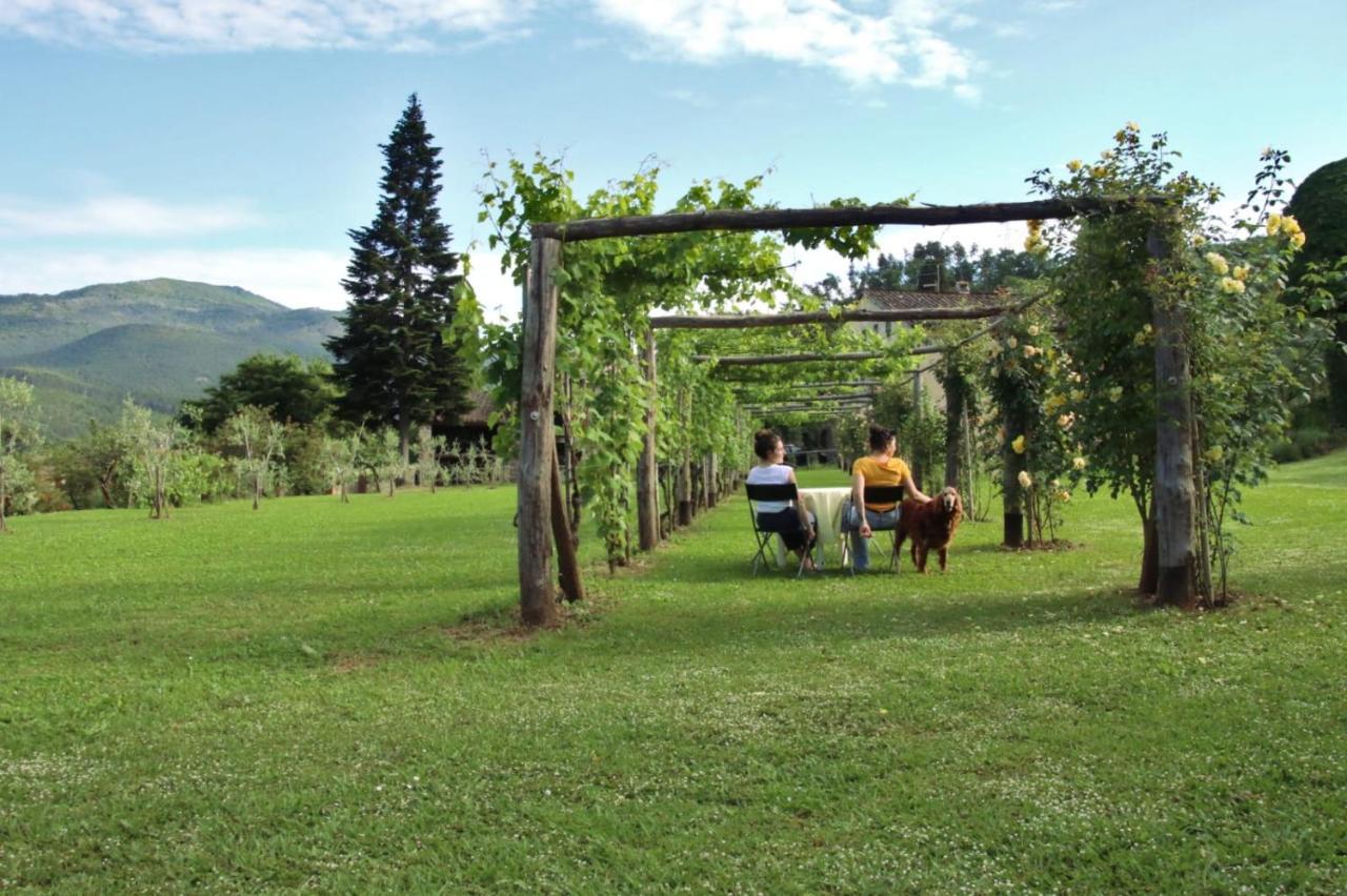 Casa Gaia Guest House Lucca Ngoại thất bức ảnh